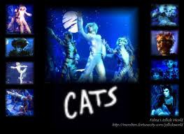 Cats in 1998